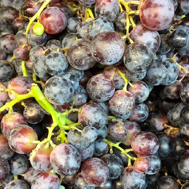 Grapes  Black Muscat 500gm