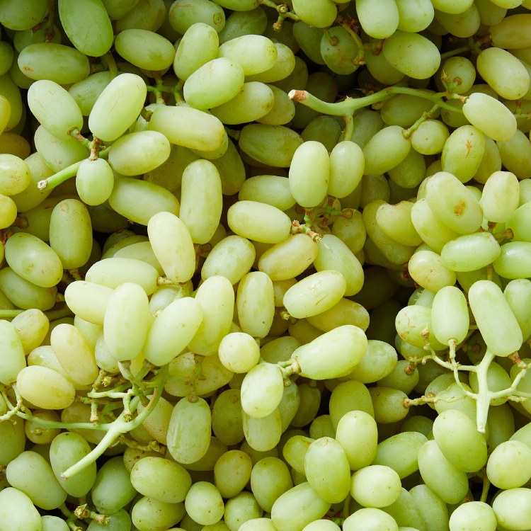 Grapes  Thompson 500gm