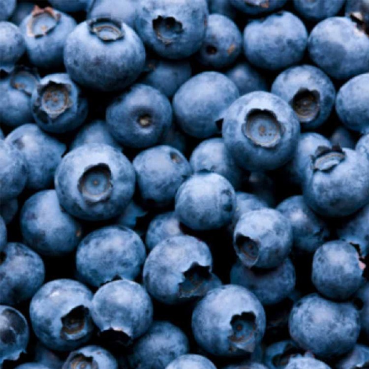 Blueberries 125gm Punnet