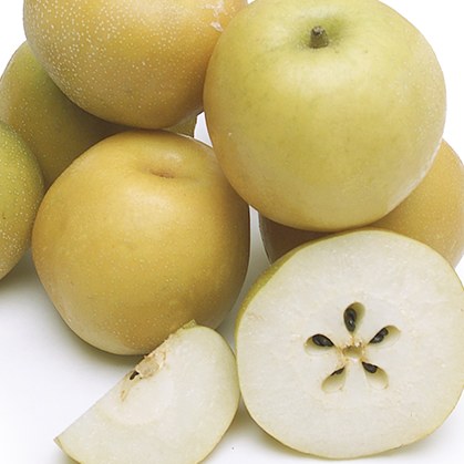 Pear Nashi 500gm