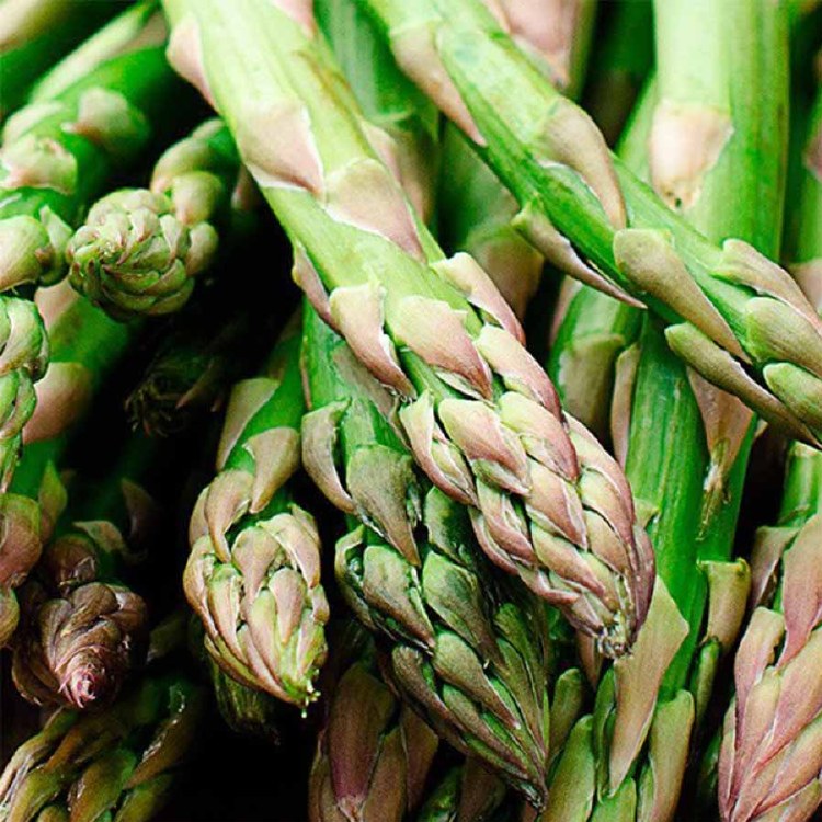 Asparagus Bunch