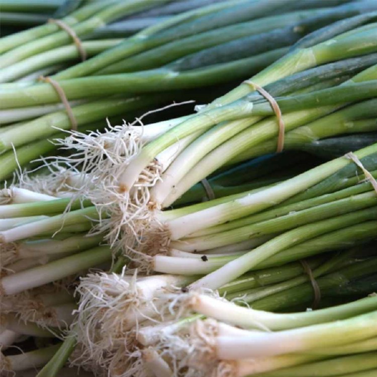 Eschallots (Spring Onions) Bunch