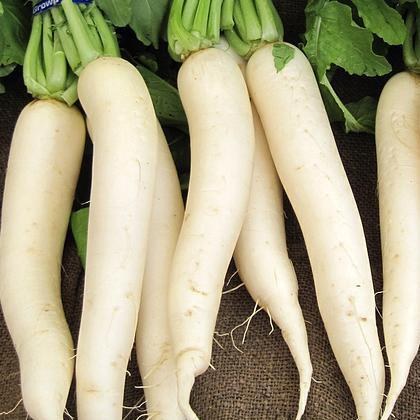 Radish White Daikon 500gm