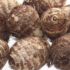 Taro 500gm