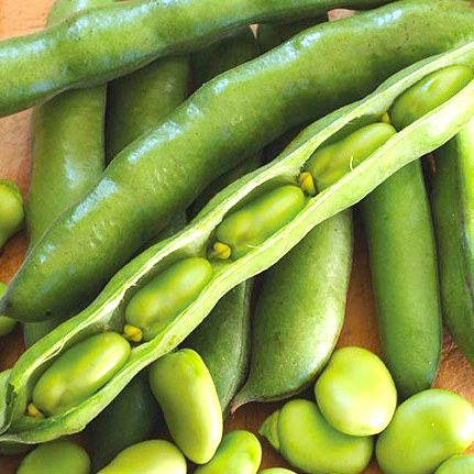 Beans Broad 500gm