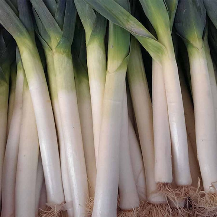 Leek Each