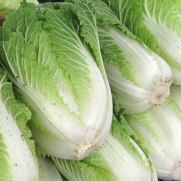Cabbage Wombok Whole