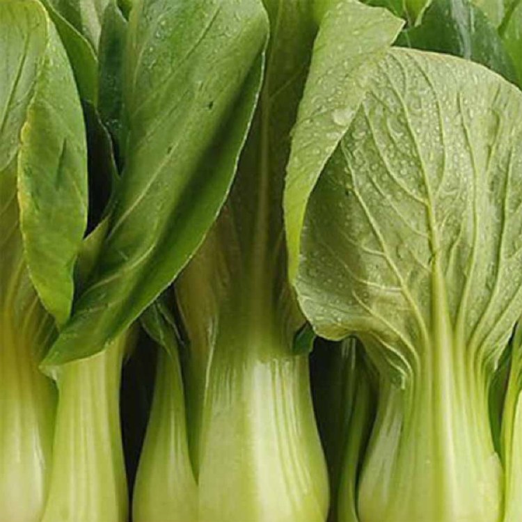 Chinese Greens Pak Choi Bunch