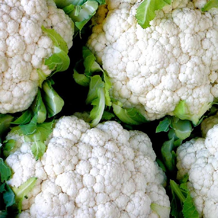 Cauliflower White Whole