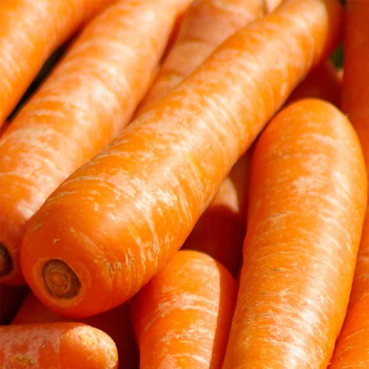 Carrots  Medium 500gm