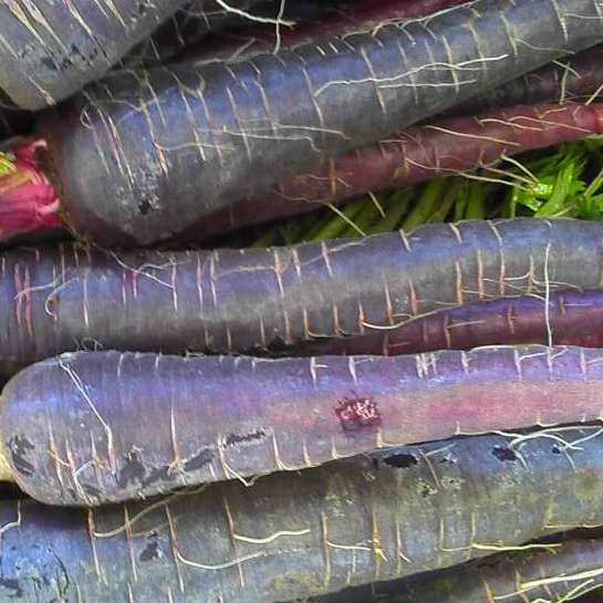 Carrots  Purple 500gm