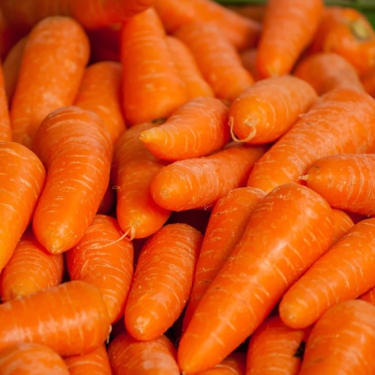 Carrots  Small 500gm