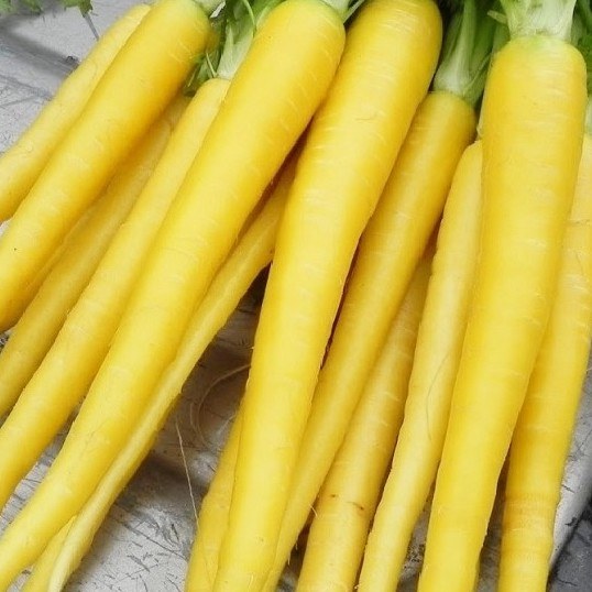 Carrots  Yellow Kilo Buy 1kg