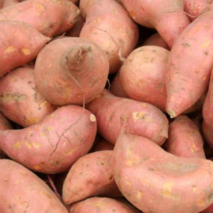 Potatoes Sweet Potato Gold 500gm