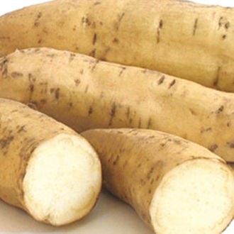 Potatoes Sweet Potato White Kilo Buy 1kg