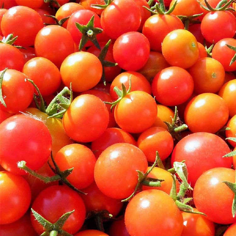 Tomatoes Cherry Red 250gm Punnet