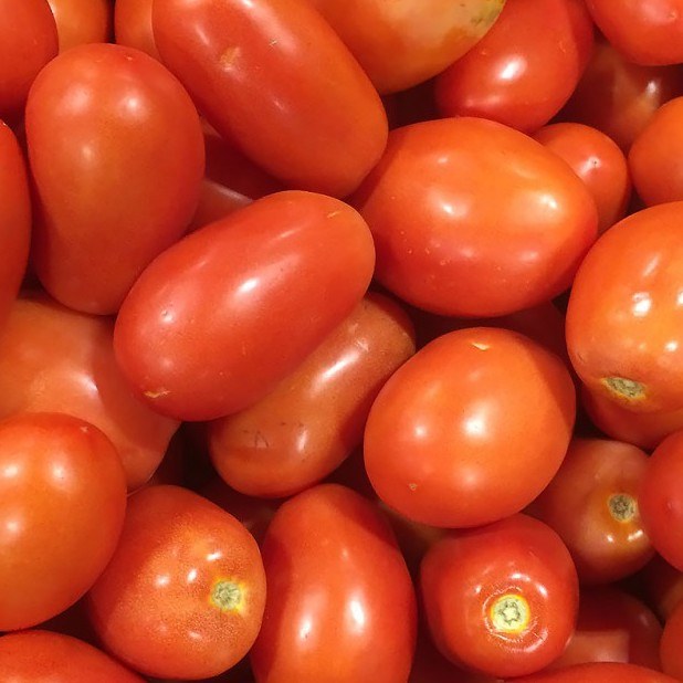 Tomatoes Roma 500gm