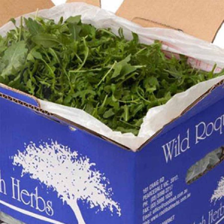 Lettuce Rocket Broad Bulk 1.5kg
