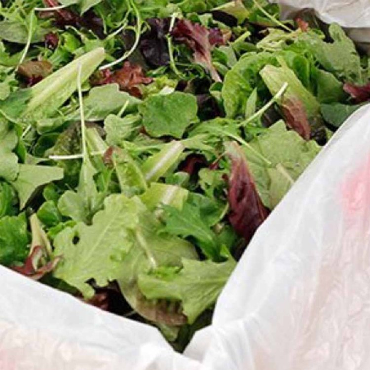 Lettuce Salad Mix Bulk 1.5kg