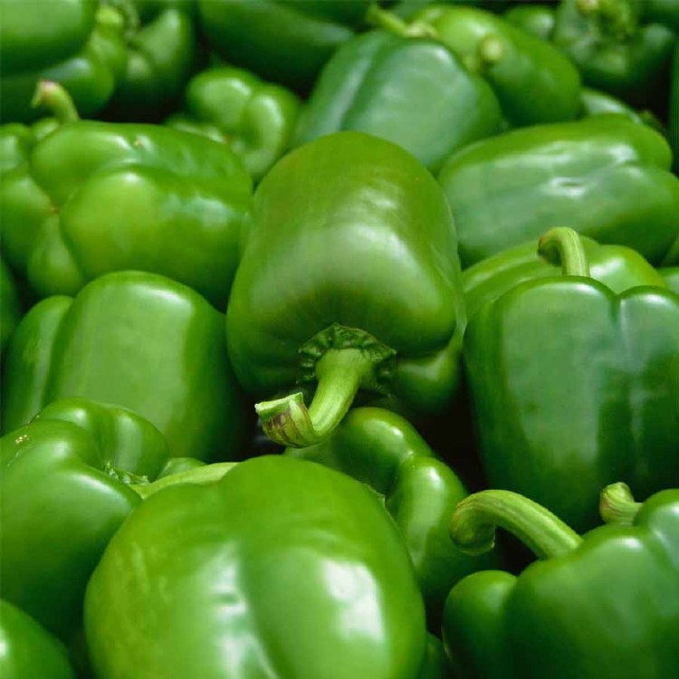 Capsicum Green 300gm