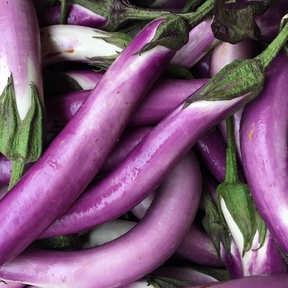 Eggplant Lebanese 500gm