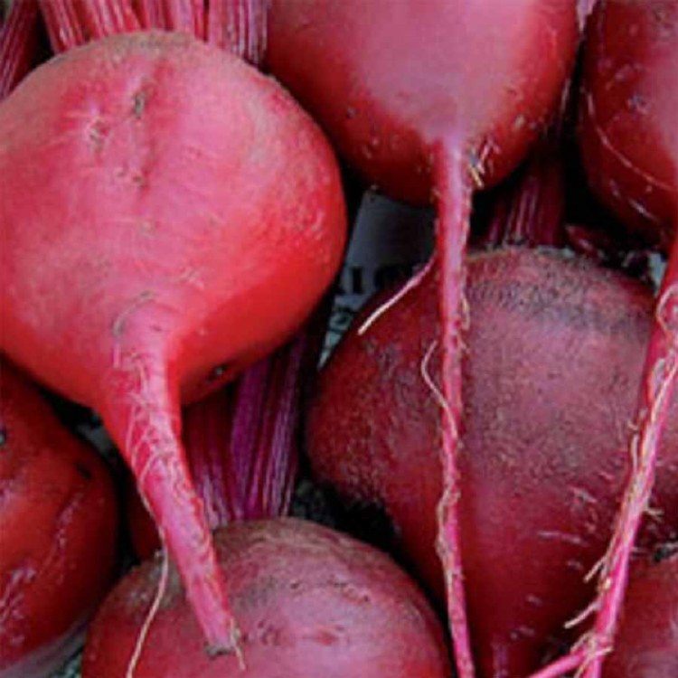 Beetroot Kilo Buy 1kg