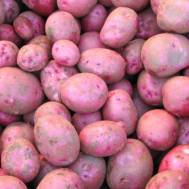 Potatoes Desiree 500gm