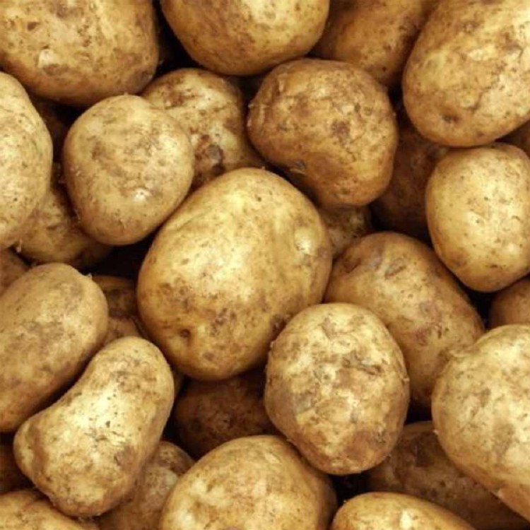 Potatoes Sebago Kilo Buy 1kg
