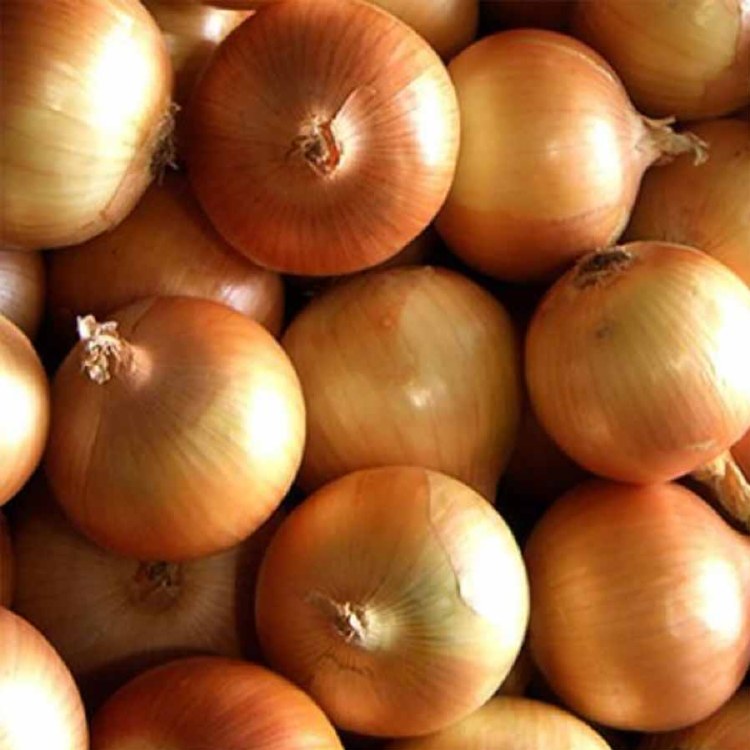 Onions  Brown Kilo Buy 1kg