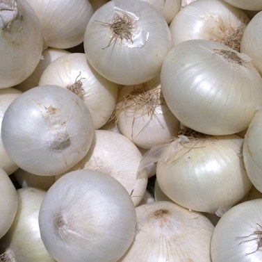 Onions  White Kilo Buy 1kg