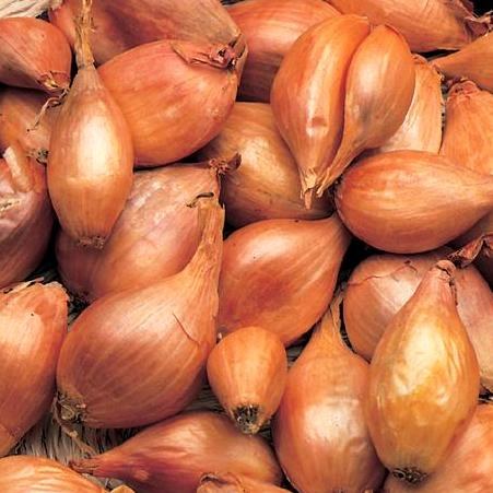 Golden Shallots 500gm