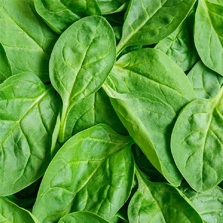 Spinach Baby 120gm Punnet