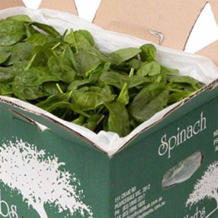 Spinach Baby Bulk 1.5kg