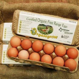 Eggs 700g Extra Large Dozen