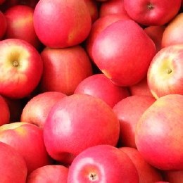 Apple JAZZ Kilo Buy 1kg
