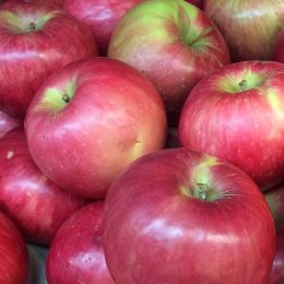 Apple Lady William 500gm