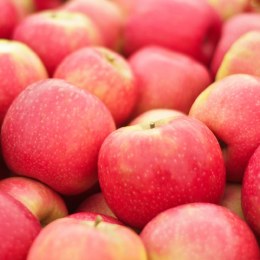 Apple Sundowner 500gm