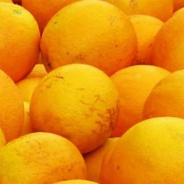 Orange Juicing Grade Kilo Buy 1kg