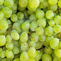 Grapes Sultana Seedless 500gm
