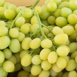 Grapes White Muscat Seedless 500gm