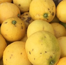 Lemonades  Kilo Buy 1kg
