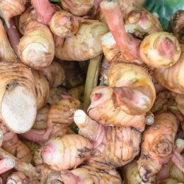 Spice Galangal 125gm