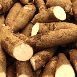 Cassava 500gm
