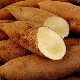 Yacon 500gm