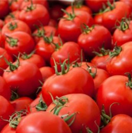 Tomatoes Gourmet 500gm