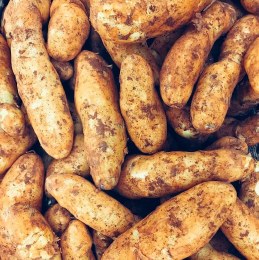 Potatoes Kipfler Kilo Buy 1kg