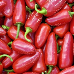 Chillies Red Jalapeno 250gm
