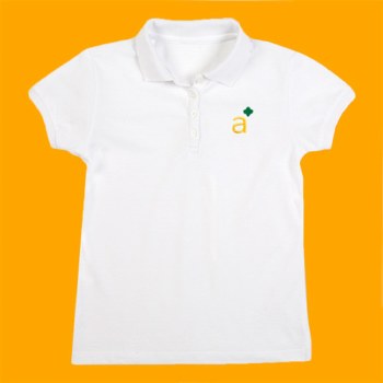 Official Ambassador Shorthand Polo
