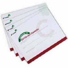 BRIDGE TO CADETTE CERTIFICATE
