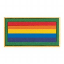 Bridge to Adult Pin
